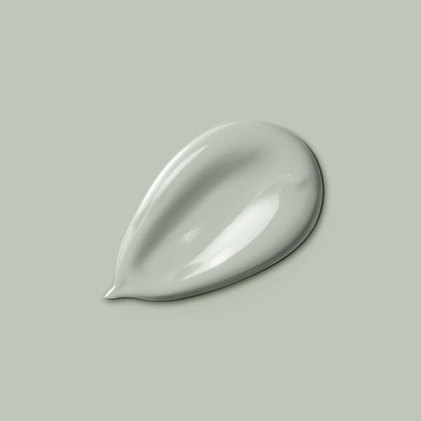 H20188-2L5 - Peinture Monocrème - Vert de