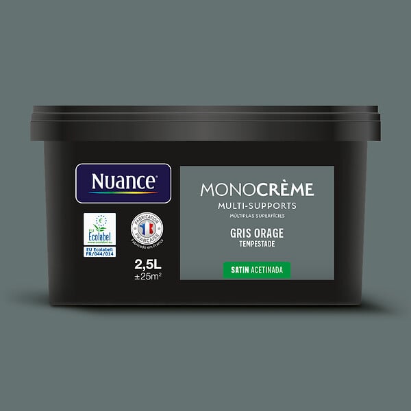 H20173-2L5 - Peinture Monocrème - Gris ora