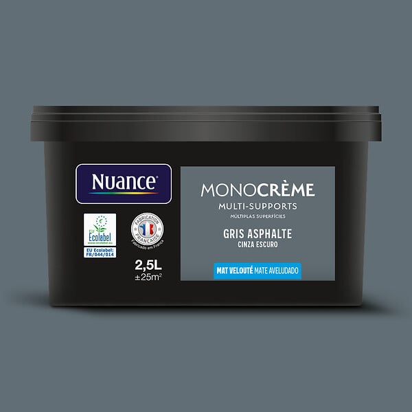 H20131-2L5 - Peinture Monocrème - Gris asp