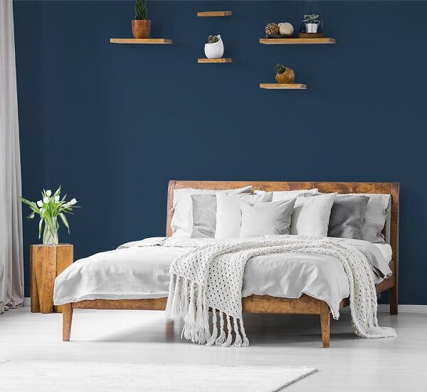 H20158-0L05 - Testeur peinture MonoCrème -