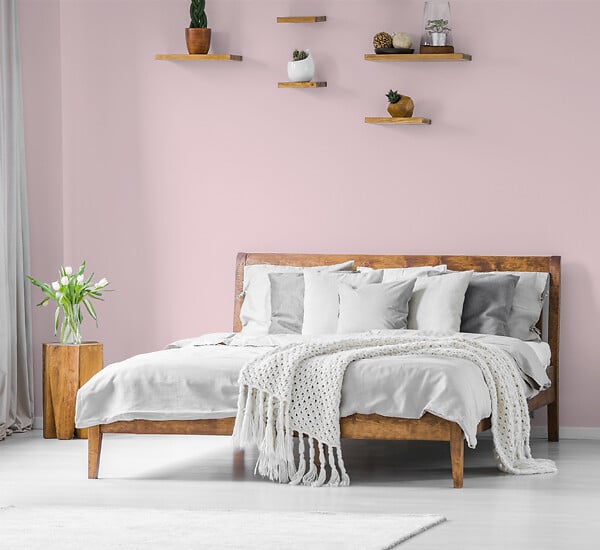H20164-0L05 - Testeur peinture MonoCrème -