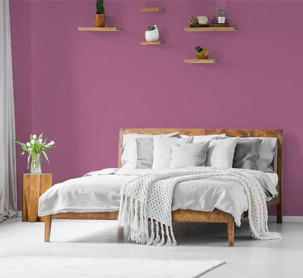 H20165-0L05 - Testeur peinture MonoCrème -