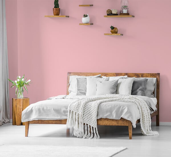 H20166-0L05 - Testeur peinture MonoCrème -