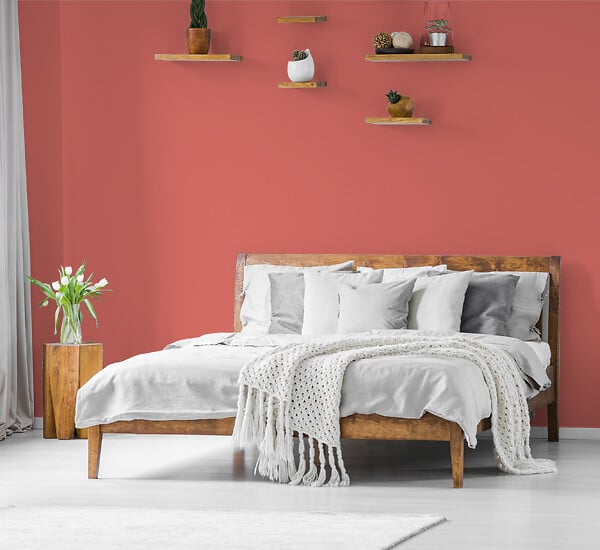 H20182-0L05 - Testeur peinture MonoCrème -