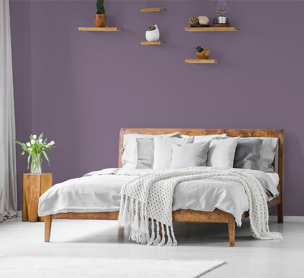 H20147-0L05 - Testeur peinture MonoCrème -