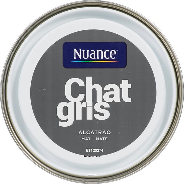 3505391054900 - Peinture MonoCrème - Chat gri