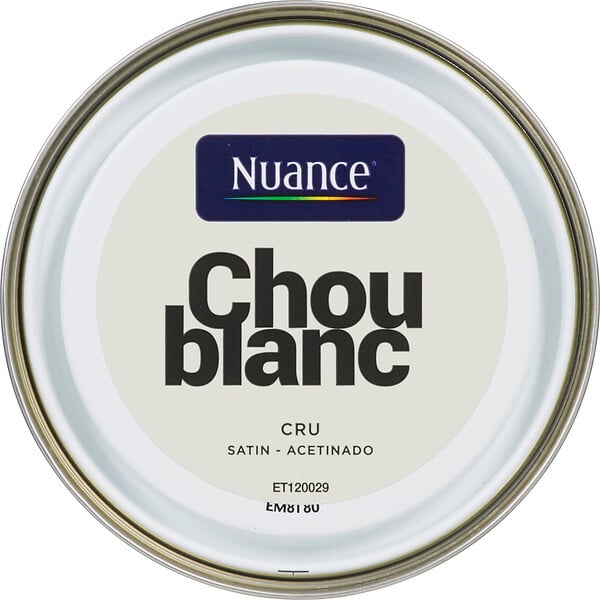 H17377-0L5 - Peinture MonoCrème - Chou Bla