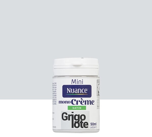 3505391058083 - Testeur peinture MonoCrème -