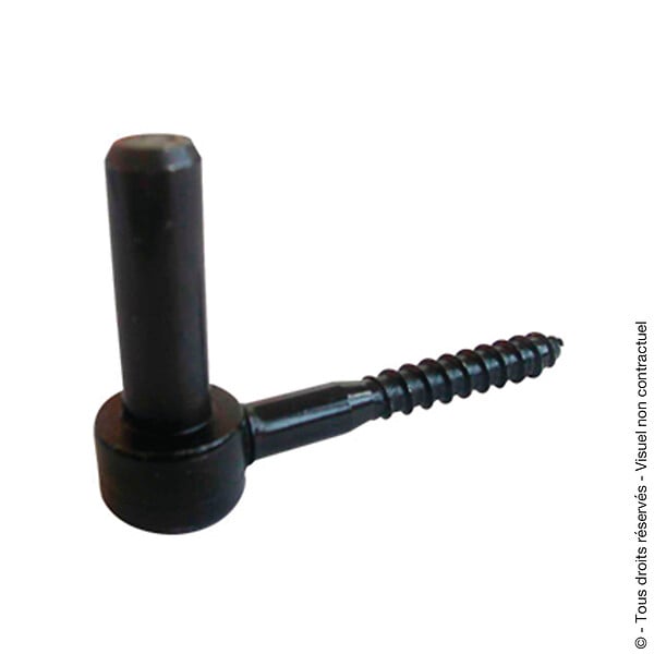US2-350306 - Gond à visser Longueur 90mm d