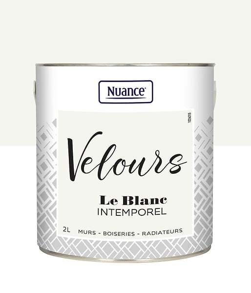 436242 - Peinture Velours - Blanc intem