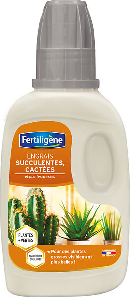 3121970171594 - Engrais liquide cactées. succ