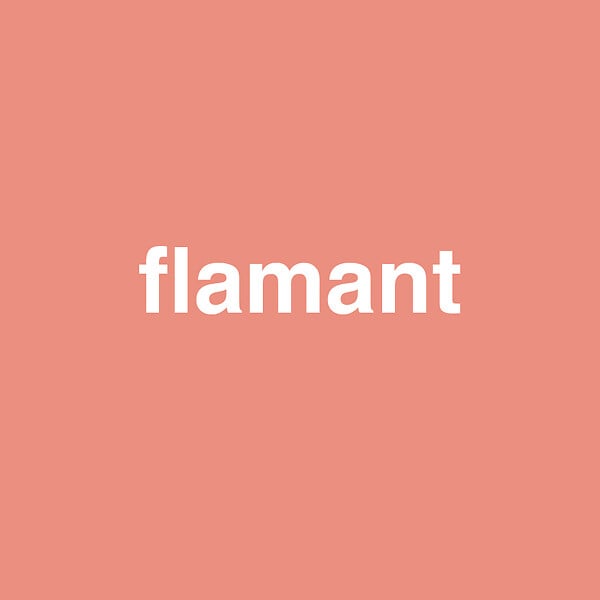 3505391055464 - Peinture MonoCrème - Flamant