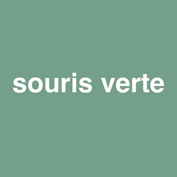 3505391058847 - Testeur peinture MonoCrème -