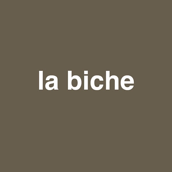 3505391059004 - Peinture bicouche - La biche -