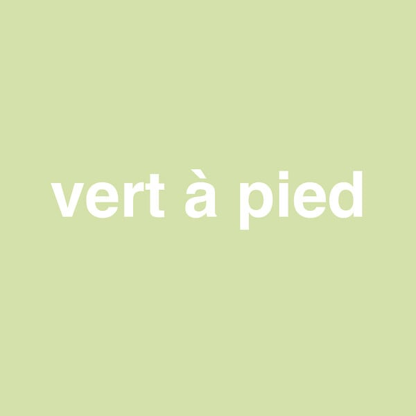 H17340-0L5 - Peinture bicouche - Vert à pi