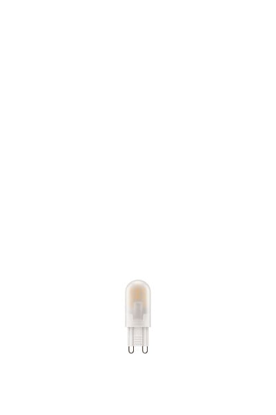 Ampoule LED G9 Capsule - Blanc chaud - Lot de 2 - 2700K - 40W