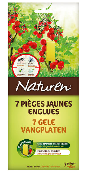 NPJAUNE - Pièges jaunes englués x7