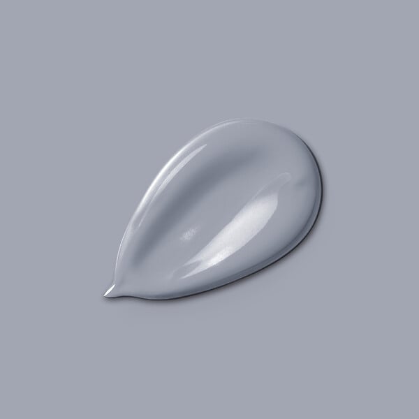 H20171-2L5 - Peinture MonocrÃ¨me - Gris bru