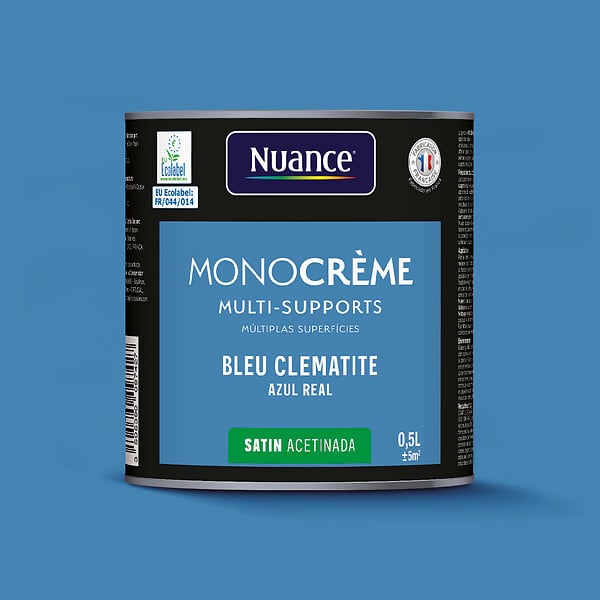 H20152-0L5 - Peinture MonoCrÃ¨me - Bleu clÃ