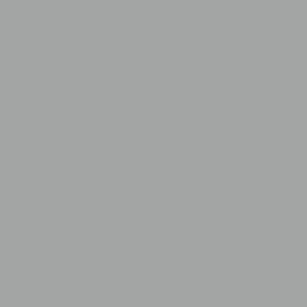 H20115-2L5 - Peinture Bicouche - Gris moyen