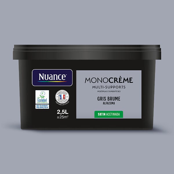 H20171-2L5 - Peinture MonocrÃ¨me - Gris bru