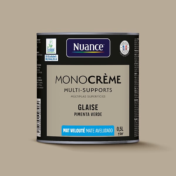 H20129-0L5 - Peinture MonoCrÃ¨me - Glaise -