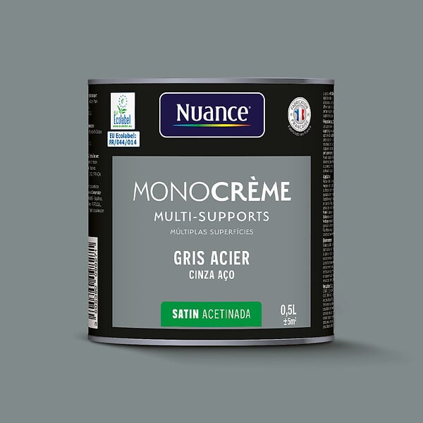 H20168-0L5 - Peinture MonoCrÃ¨me - Gris aci