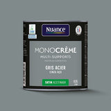 H20168-0L5 - Peinture MonoCrÃ¨me - Gris aci