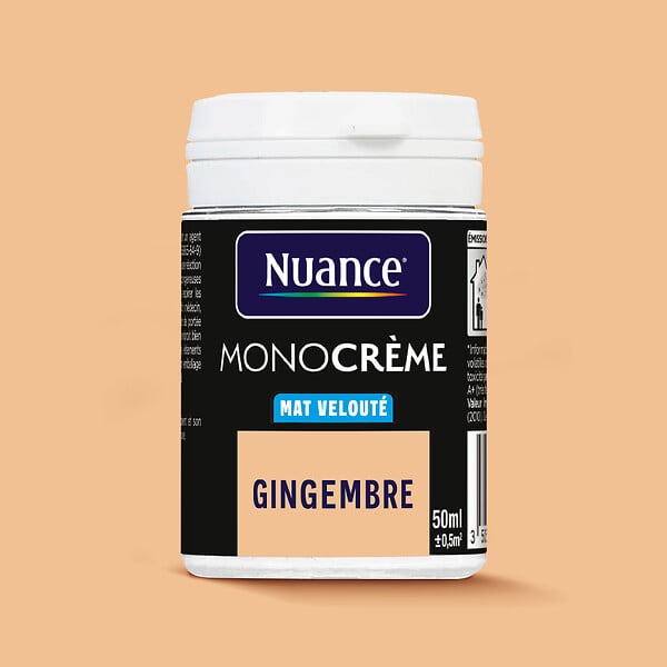 H20128-0L05 - Testeur peinture MonoCrÃ¨me -