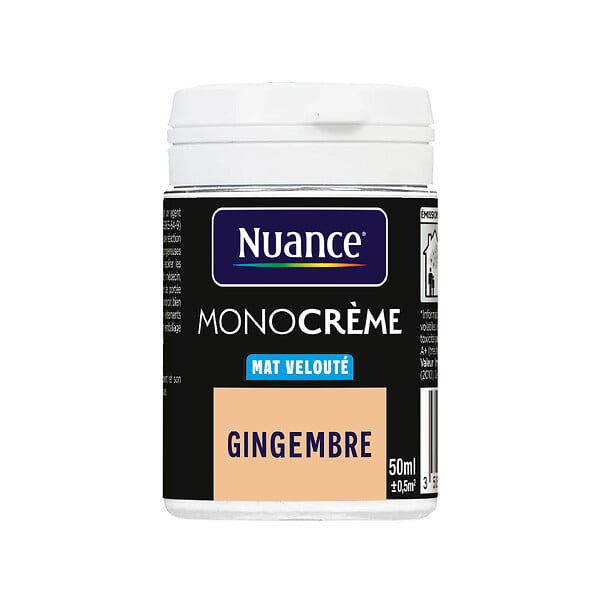 H20128-0L05 - Testeur peinture MonoCrÃ¨me -