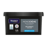 H20131-2L5 - Peinture MonocrÃ¨me - Gris asp