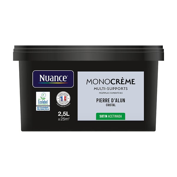 H20179-2L5 - Peinture MonocrÃ¨me - Pierre d