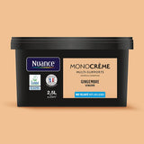 H20128-2L5 - Peinture MonocrÃ¨me - Gingembr