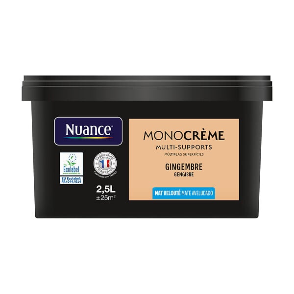 H20128-2L5 - Peinture MonocrÃ¨me - Gingembr