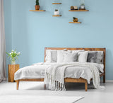 H20160-0L5 - Peinture MonoCrÃ¨me - Bleu pol
