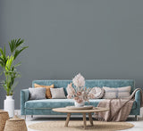 H20168-0L5 - Peinture MonoCrÃ¨me - Gris aci