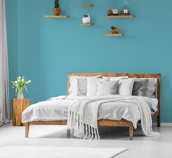 H20155-0L05 - Testeur peinture MonoCrÃ¨me -
