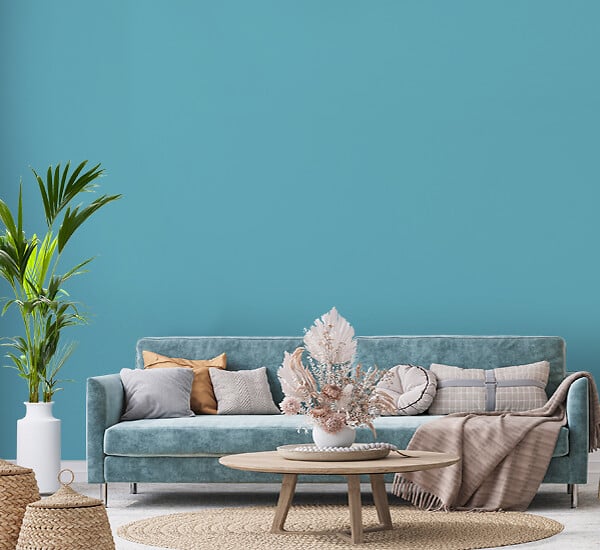 H20155-0L05 - Testeur peinture MonoCrÃ¨me -