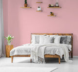 H20166-0L05 - Testeur peinture MonoCrÃ¨me -