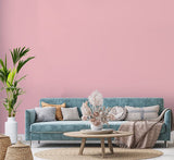 H20166-0L05 - Testeur peinture MonoCrÃ¨me -