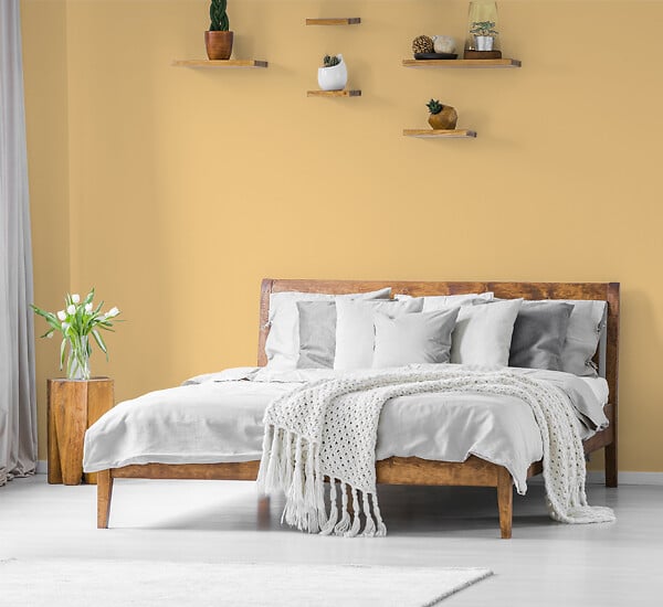 H20135-0L05 - Testeur peinture MonoCrÃ¨me -
