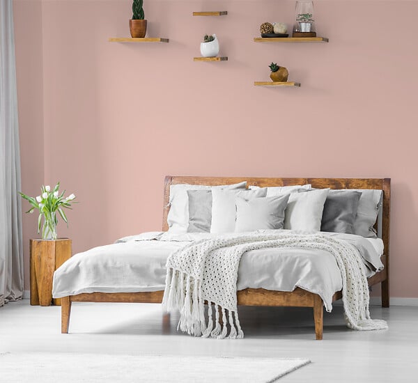 H20180-0L05 - Testeur peinture MonoCrÃ¨me -