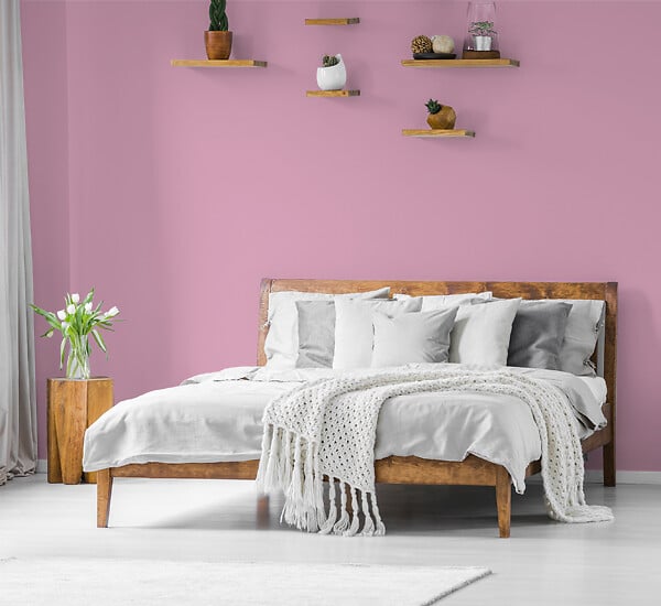 H20181-0L05 - Testeur peinture MonoCrÃ¨me -