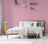 H20181-0L05 - Testeur peinture MonoCrÃ¨me -