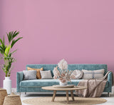 H20181-0L05 - Testeur peinture MonoCrÃ¨me -