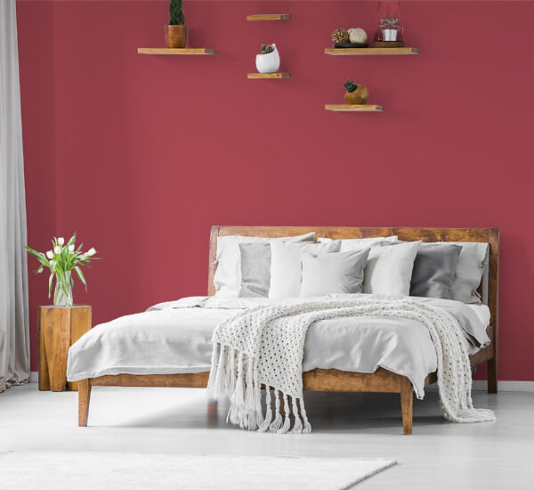 H20183-0L05 - Testeur peinture MonoCrÃ¨me -