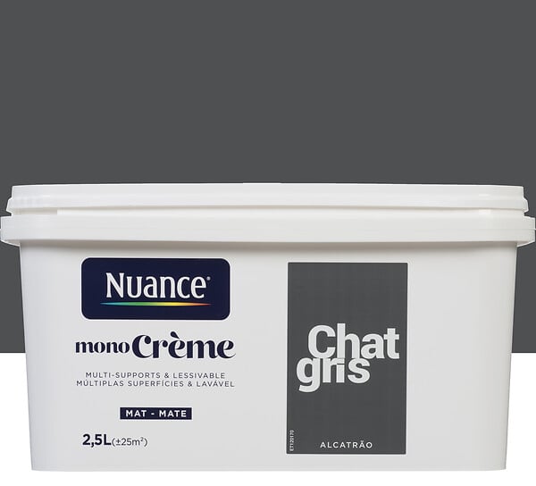 3505391055280 - Peinture MonoCrÃ¨me - Chat gri
