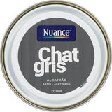 H17376-0L5 - Peinture MonoCrÃ¨me - Chat gri