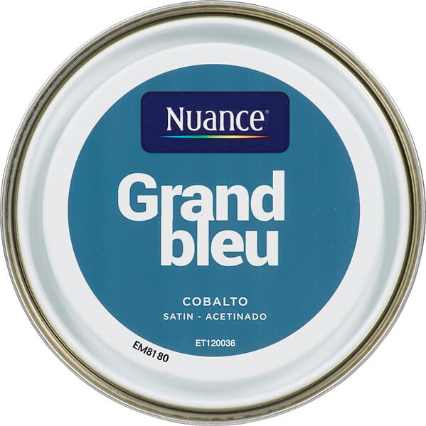 3505391056409 - Peinture MonoCrÃ¨me - Grand bl