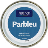 3505391056447 - Peinture MonoCrÃ¨me - Parbleu